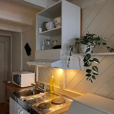 Appartement Local Small Near The *