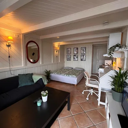 Appartement Local Small Near The *