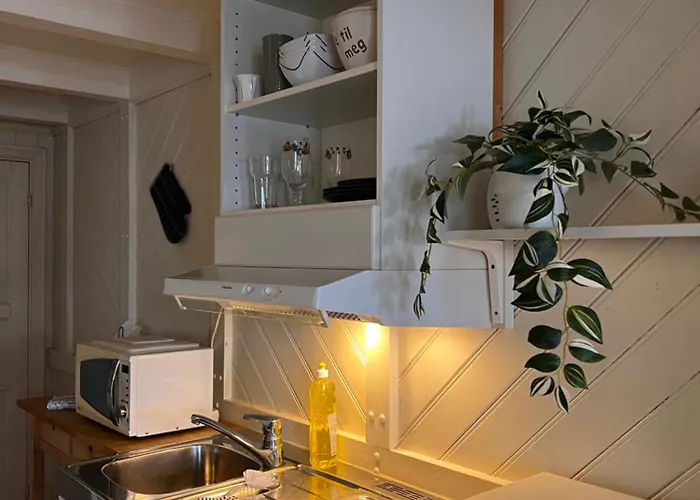 Apartament Local Small Near The *